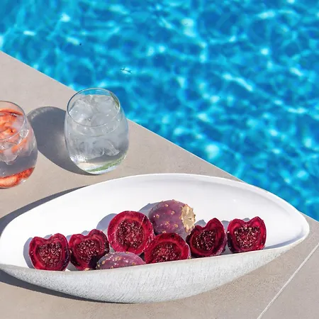 Hadi カロ・リヴァディ